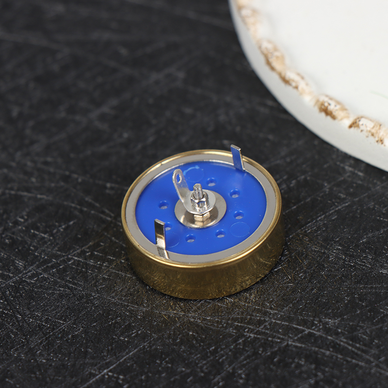 Microphone Capsule - Microphone Diaphragm Capsule for Studio Record