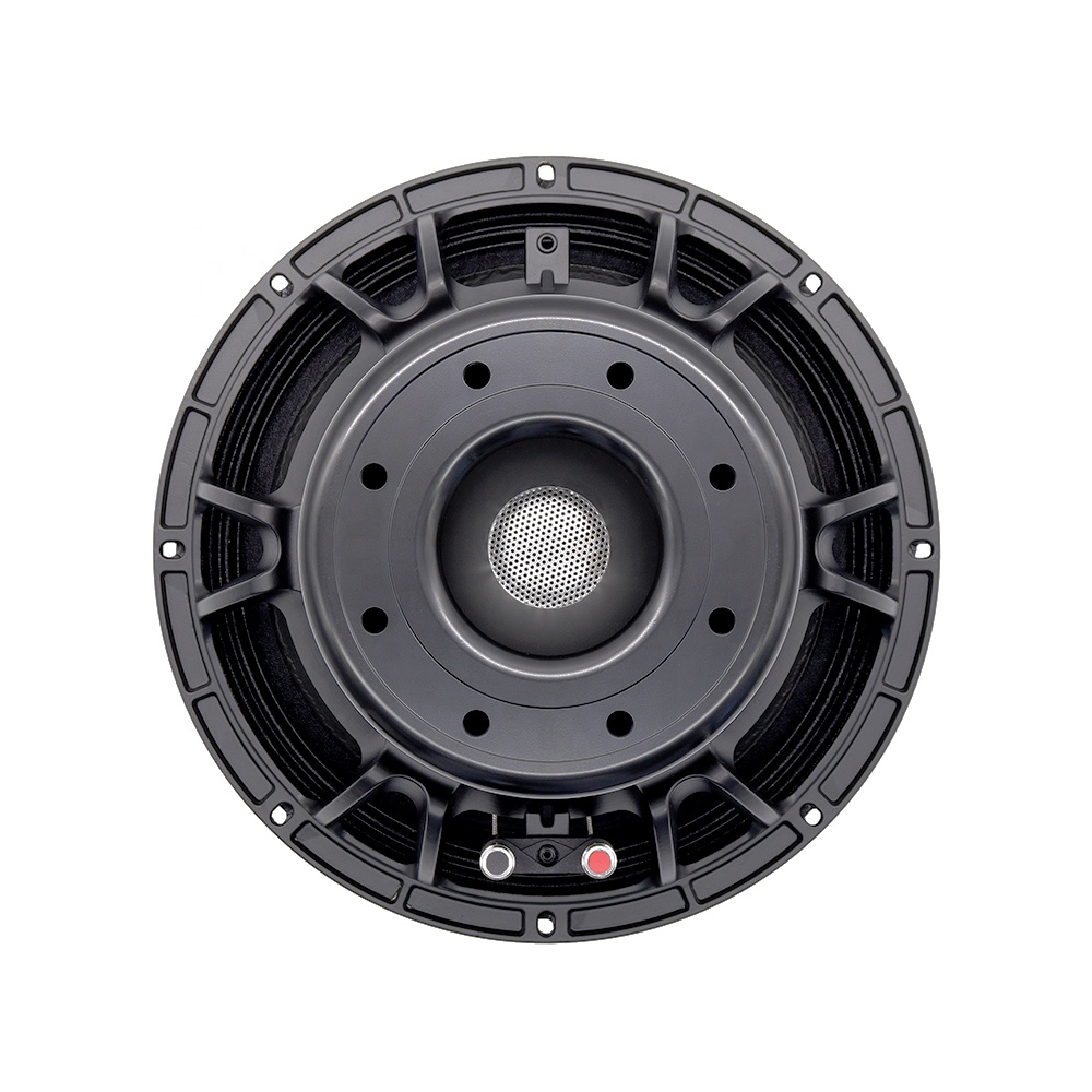 Subwoofer - 12DS Pro Audio Equipment 12'' Speaker
