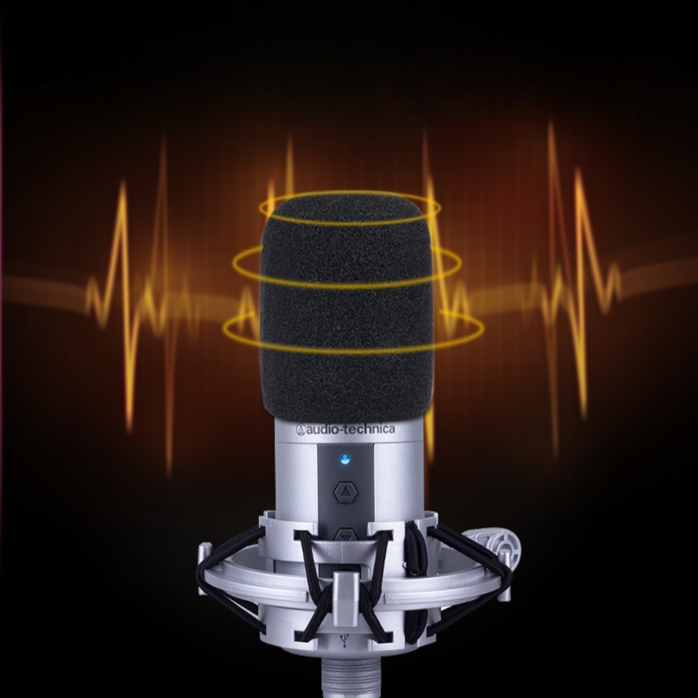 2PCS AT2020 Microphone Windscr - Ribbon Microphone recension och pris