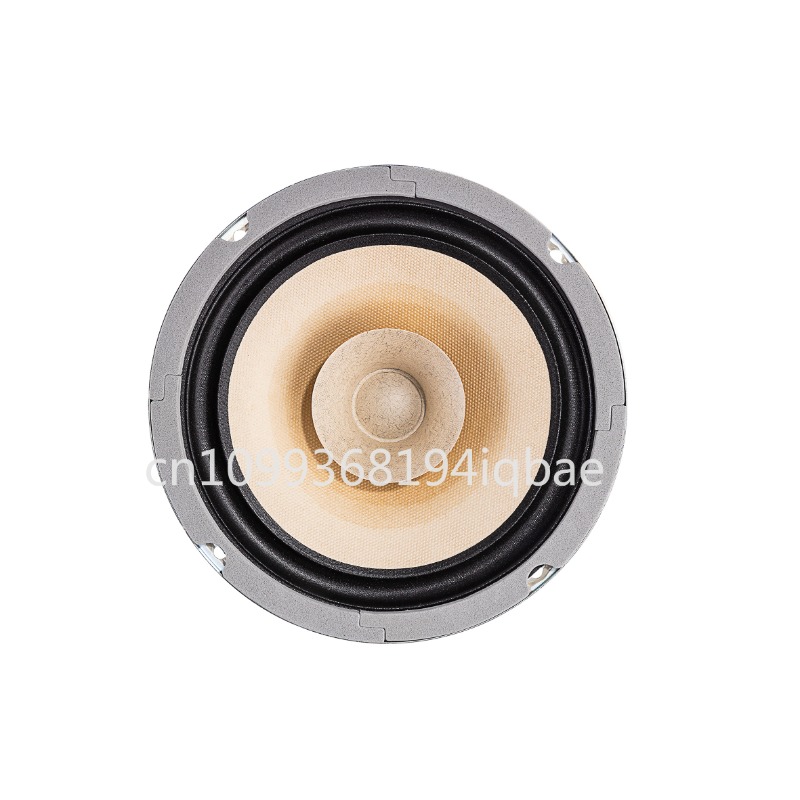 A pair Lii Song 8-inch 8 ohms  - Diy Speaker recension och pris