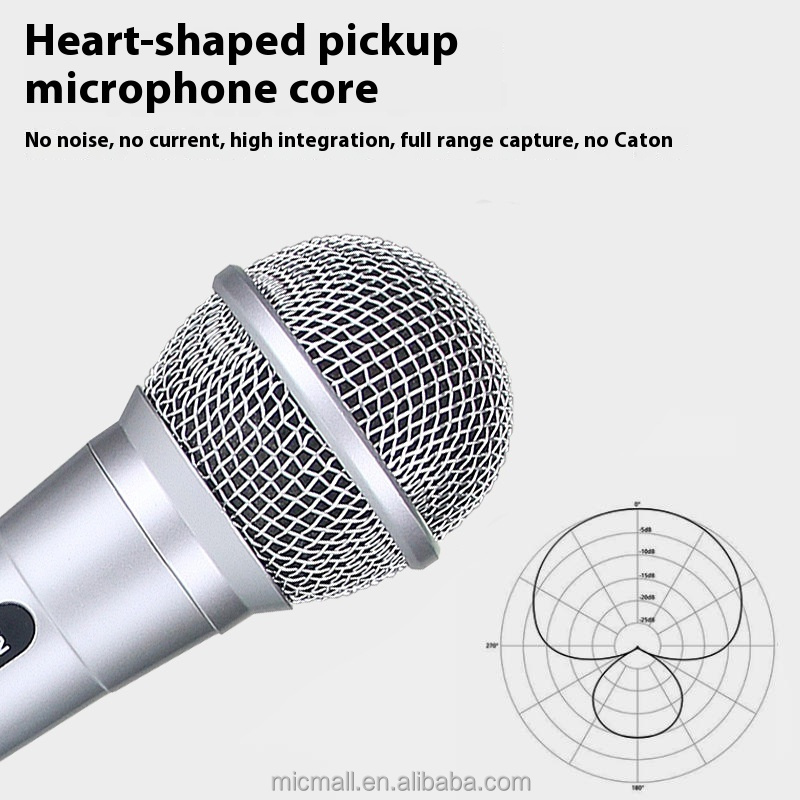 2026 Portable Wired Microphone - Speaker Wire recension och pris