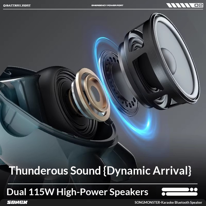 SONGX Audio Dual Microphone Du - Full Range Speaker recension och pris